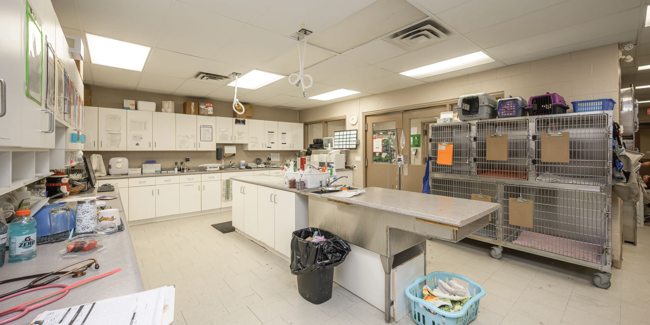 415 Queensway West Animal Examination Area with Cages and Ample Counter Space