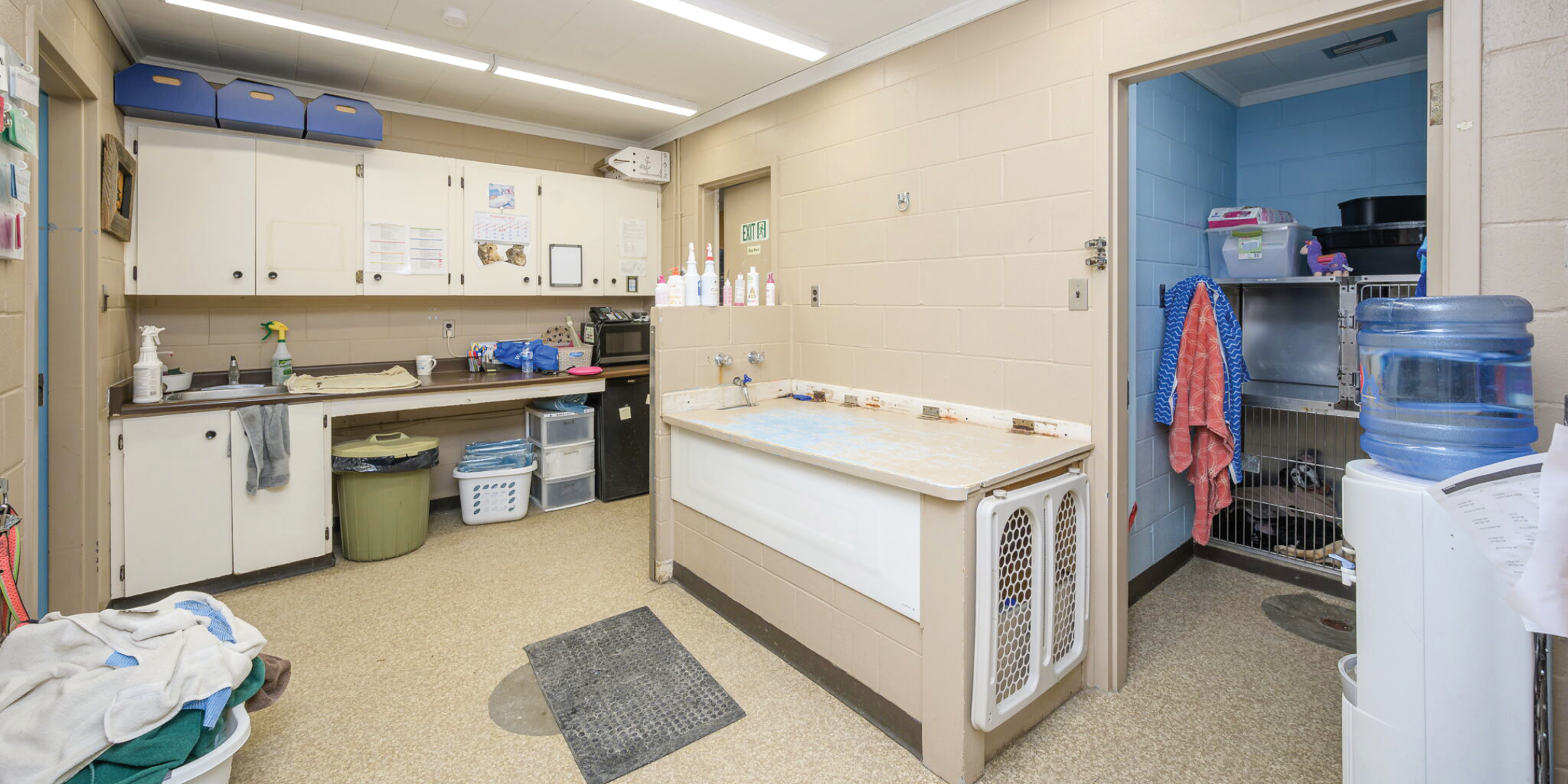 780 Highway 6 Animal Examination Room with Pet Wash Area