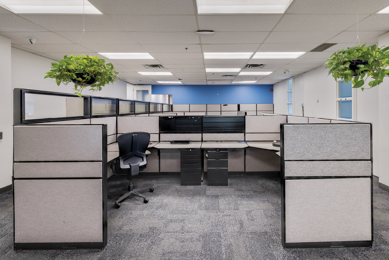 41 Valleybrook office desks with green plants