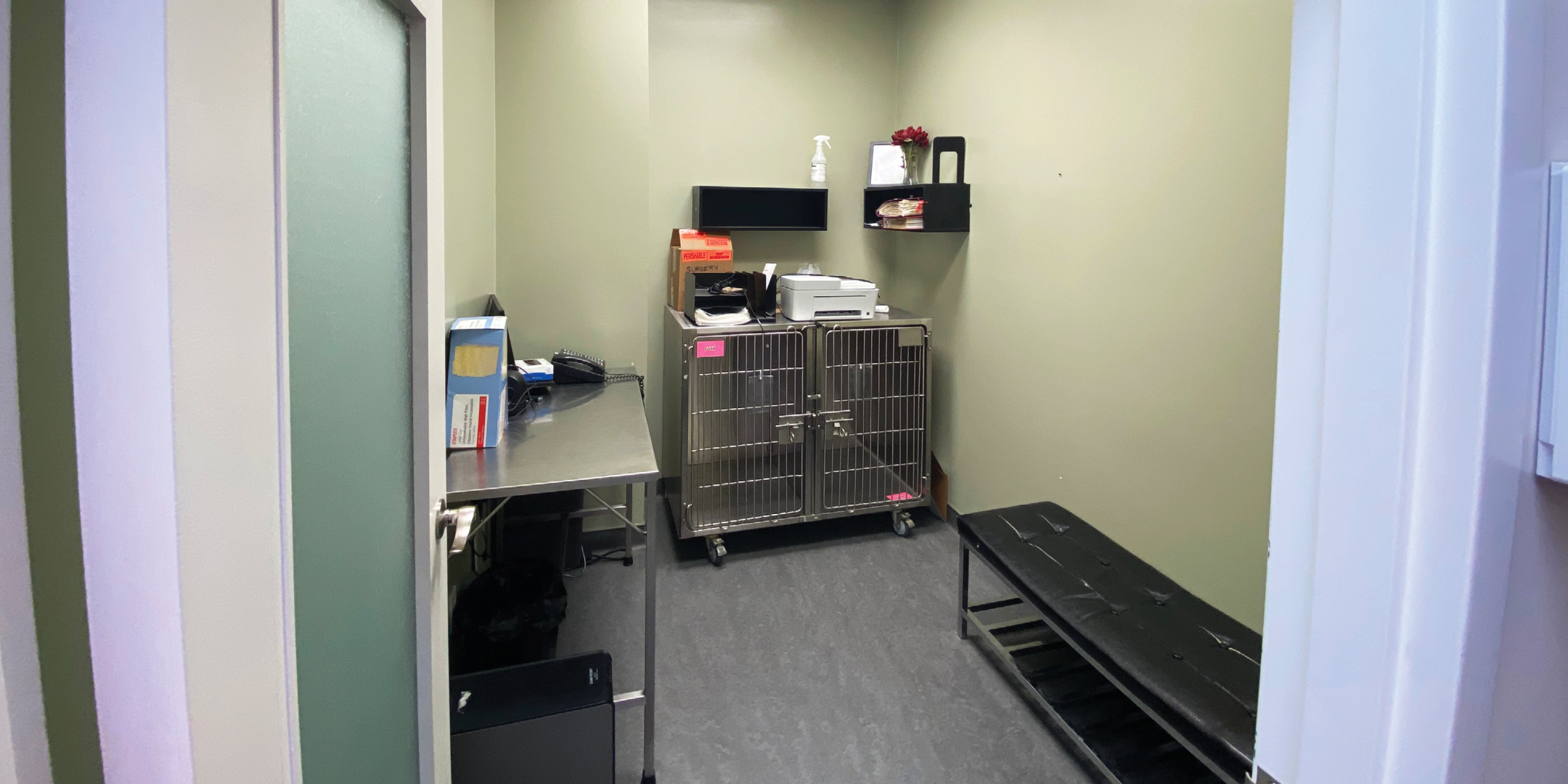 920 Yonge Street - Interior Vet Clinic Examination Room