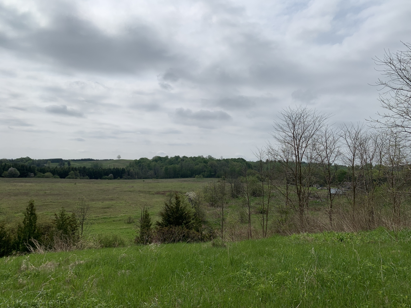 2881 20th Sideroad land view